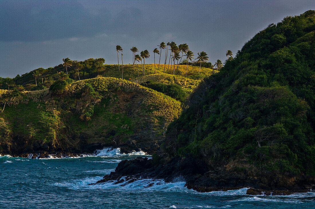 Hügel nahe der Küste von Tobago; Tobago, Republik Trinidad und Tobago