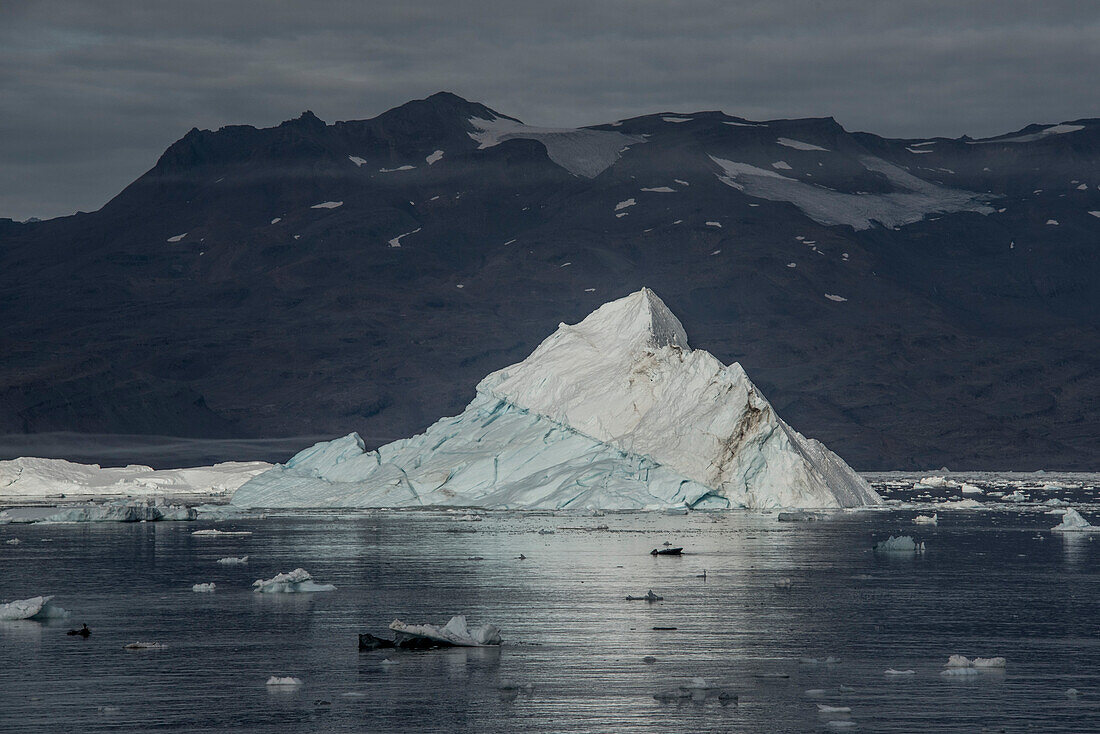 Sonnenbeschienene Eisberge im Gletscherwasser des Nansen Fjords mit der Silhouette des Gebirgskamms im Hintergrund bei grauem, bewölktem Himmel; Ostgrönland, Grönland