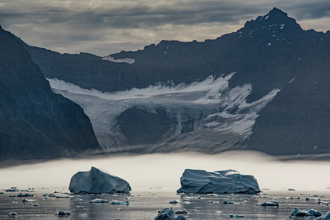 Im Nebel schwimmende Eisberge vor dem Gletscher am Nansen Fjord mit der Silhouette der zerklüfteten Berggipfel gegen einen grauen, bewölkten Himmel im Hintergrund; Ostgrönland, Grönland