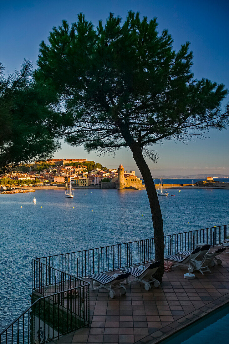 Sailboats in the bay of Collioure seen from a terrace; Collioure, Pyrenees Orientales, France