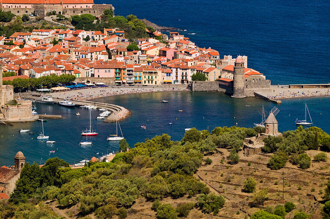 Sailboats in the harbour of Collioure; Collioure, Pyrenees Orientales, France