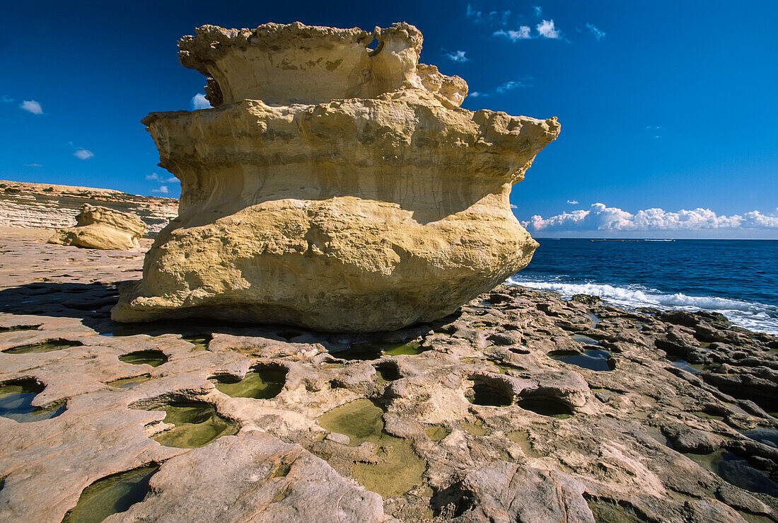 Erodierter Felsbrocken am Peter's Pool, Delimara Point, Malta; Malta Insel, Malta