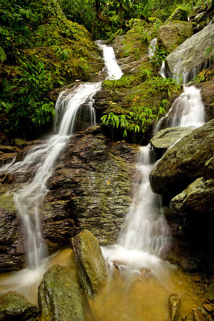 Beautiful waterfall along Gilpin Trail in Tobago; Tobago, Republic of Trinidad and Tobago