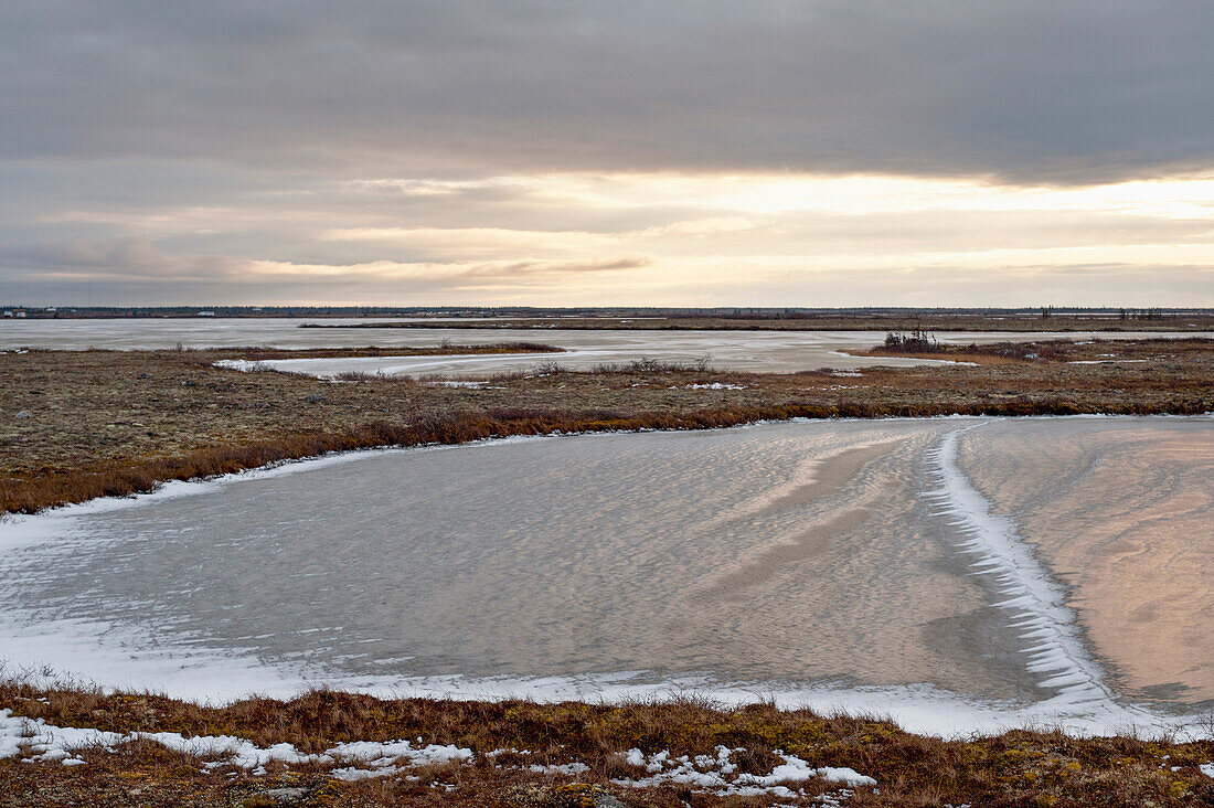 Gefrorene Landschaft mit Eisflecken auf dem Gras bei Sonnenuntergang; Churchill Manitoba Kanada