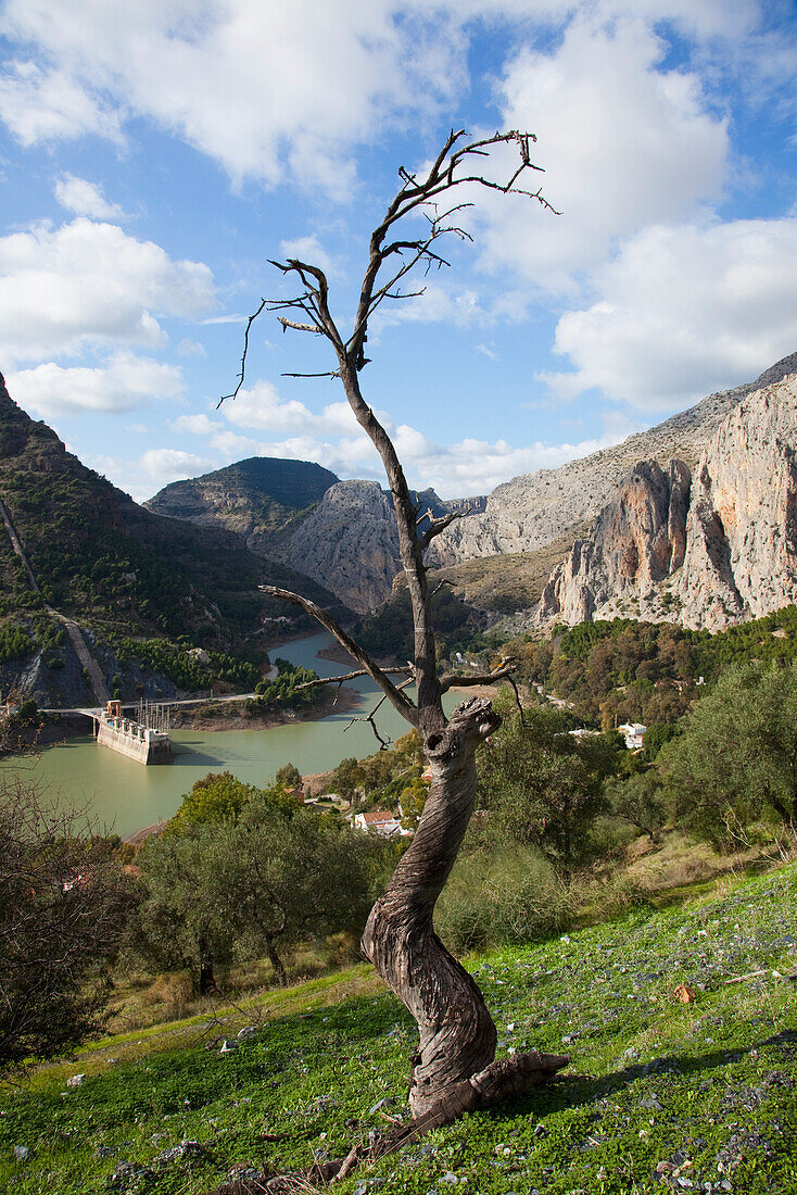 Power Generating Station Near Pantano Del Chorro; Andalusia Spain