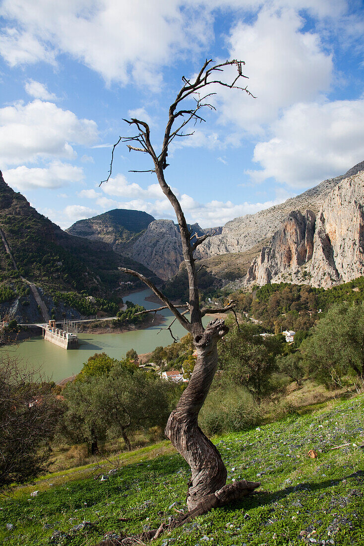 Stromerzeugungsanlage bei Pantano Del Chorro; Andalusien Spanien