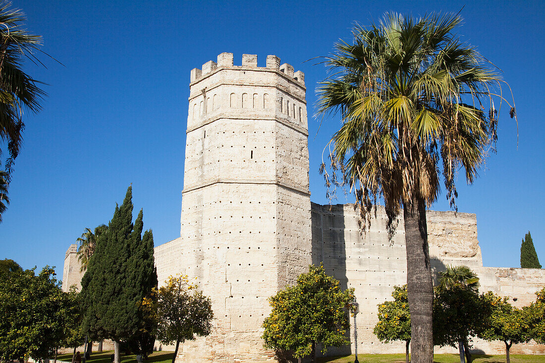 Old Castle And Trees Against A Blue Sky; Jerez De La Frontera Andalusia Spain