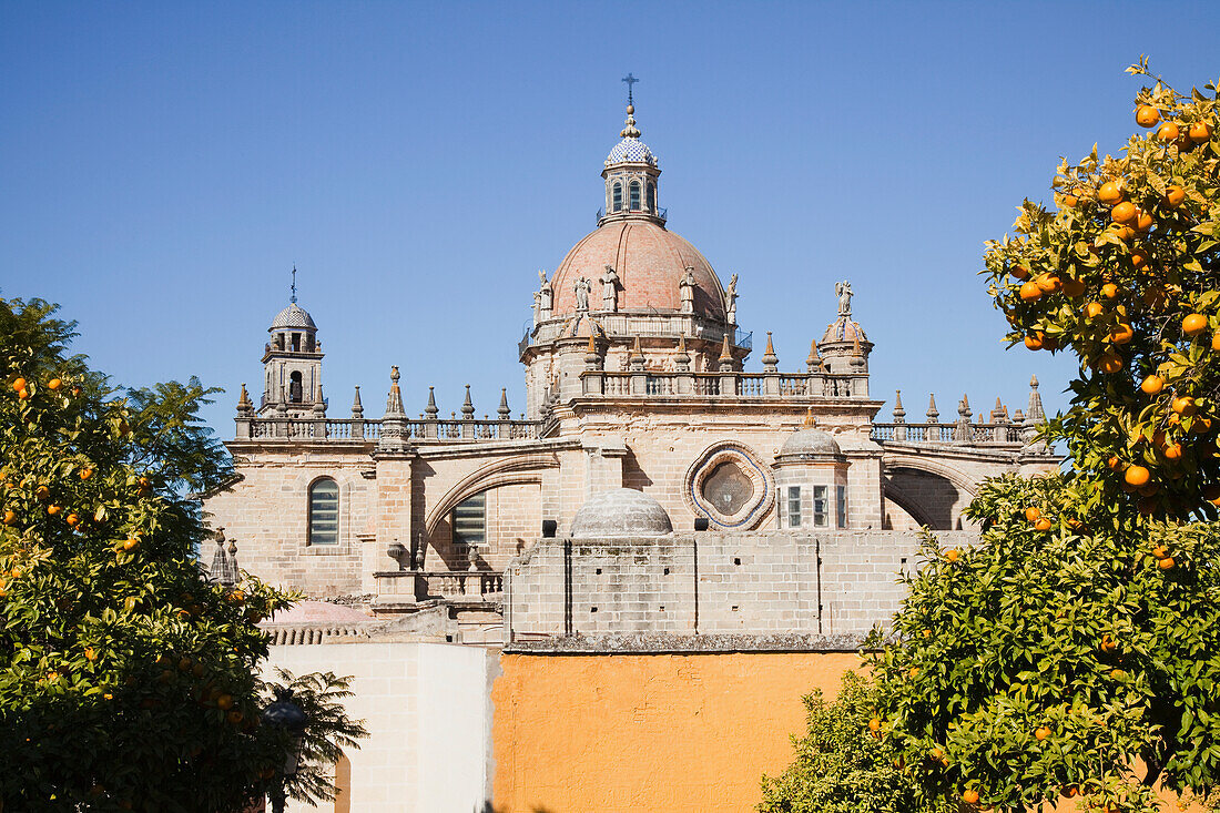Kuppel einer Kathedrale gegen den blauen Himmel; Jerez De La Frontera Andalusien Spanien