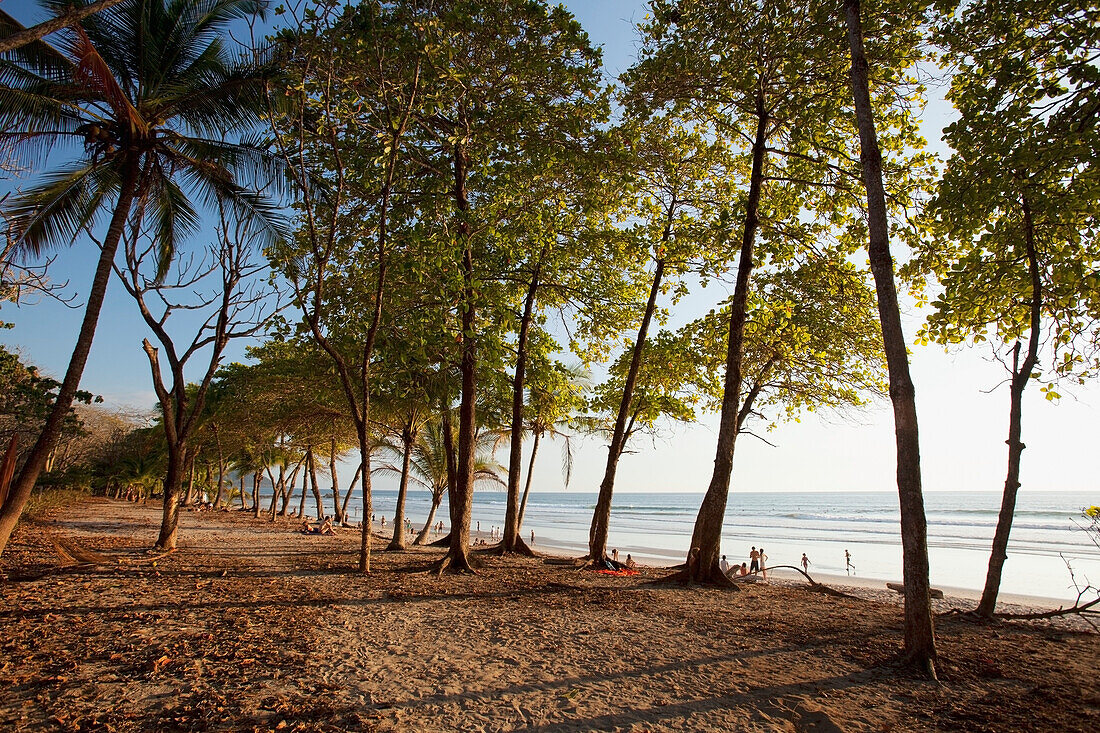 Playa Santa Teresa (Strand von Santa Teresa) in Santa Teresa und Mal Pais (Malpais) auf der Halbinsel Nicoya; Provinz Puntarenas, Costa Rica