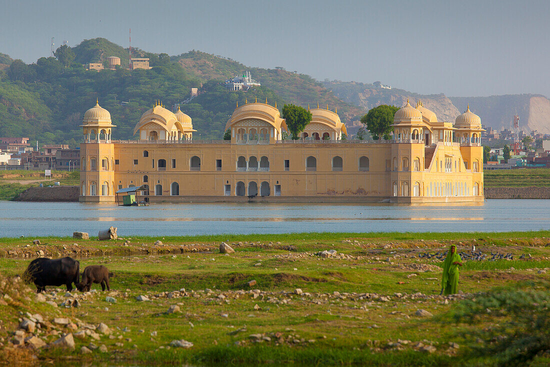 Amer Fort; Jaipur Rajasthan Indien