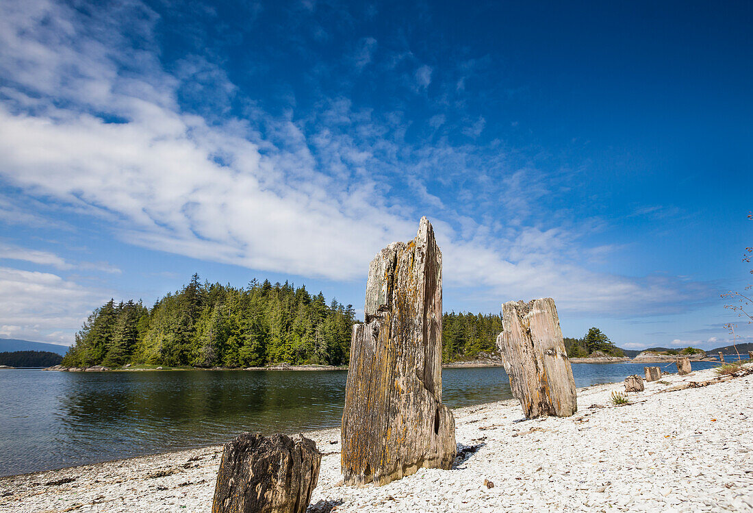 Mamalilikulla An Abandoned First Nations Village Site On Village Island Near Alert Bay; British Columbia Canada