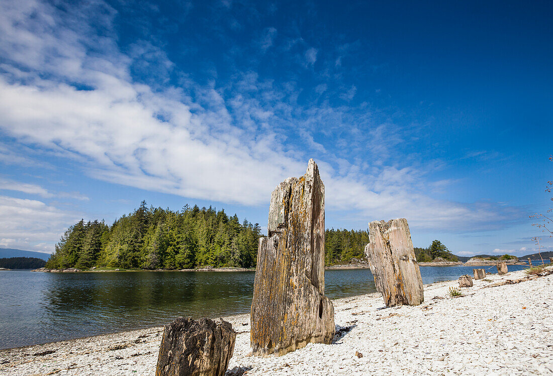 Mamalilikulla Ein verlassenes Dorf der Ureinwohner auf Village Island nahe Alert Bay; British Columbia Kanada