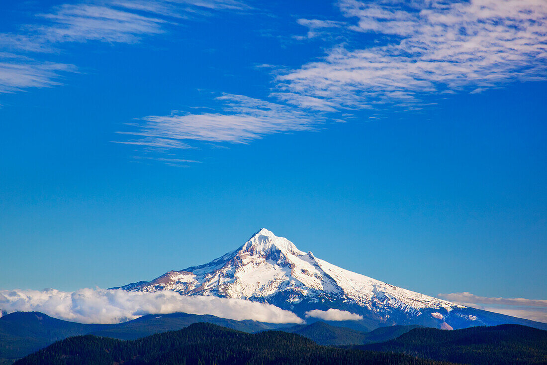Blick auf Mount Hood von den Larch Mountains; Oregon Vereinigte Staaten Von Amerika