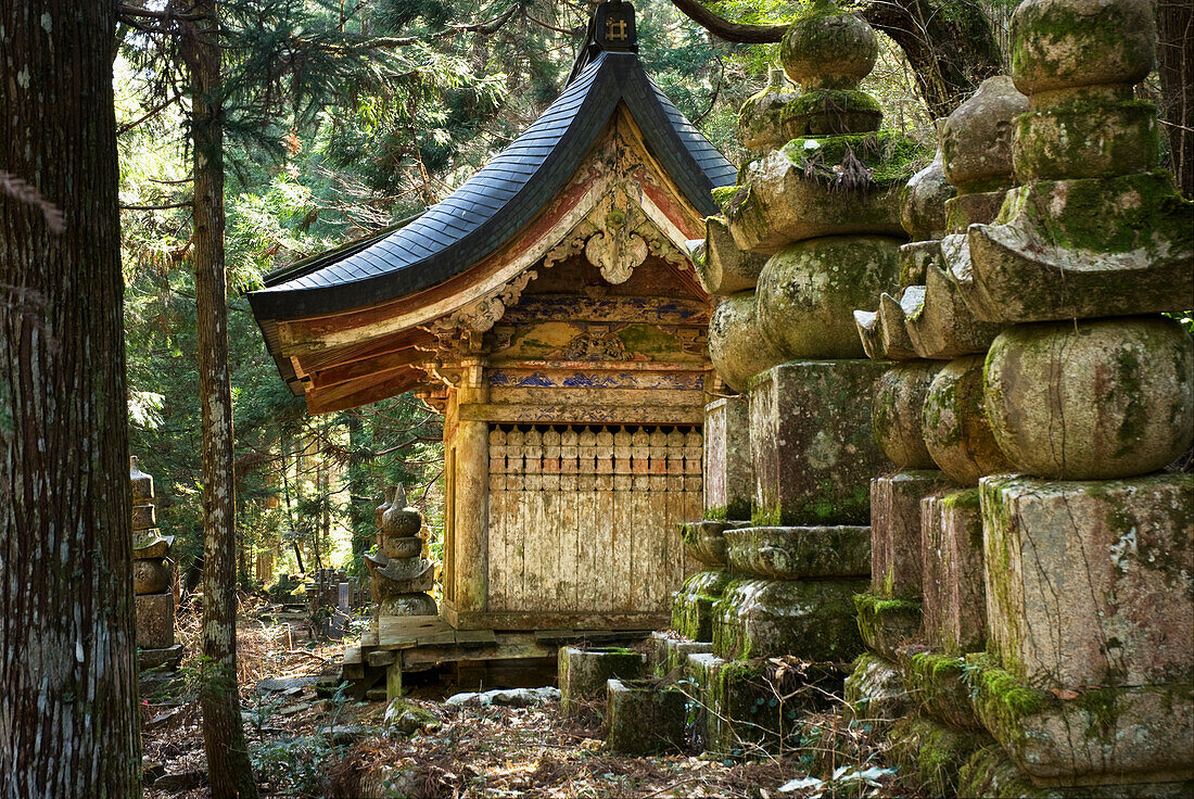 Old Japanese Shrine In The Woods; Koyasan Wakayama Japan