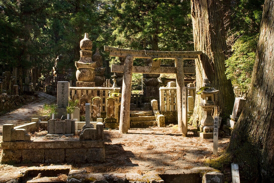 Traditional Japanese Cemetery In The Woods; Koyasan Wakayama Japan