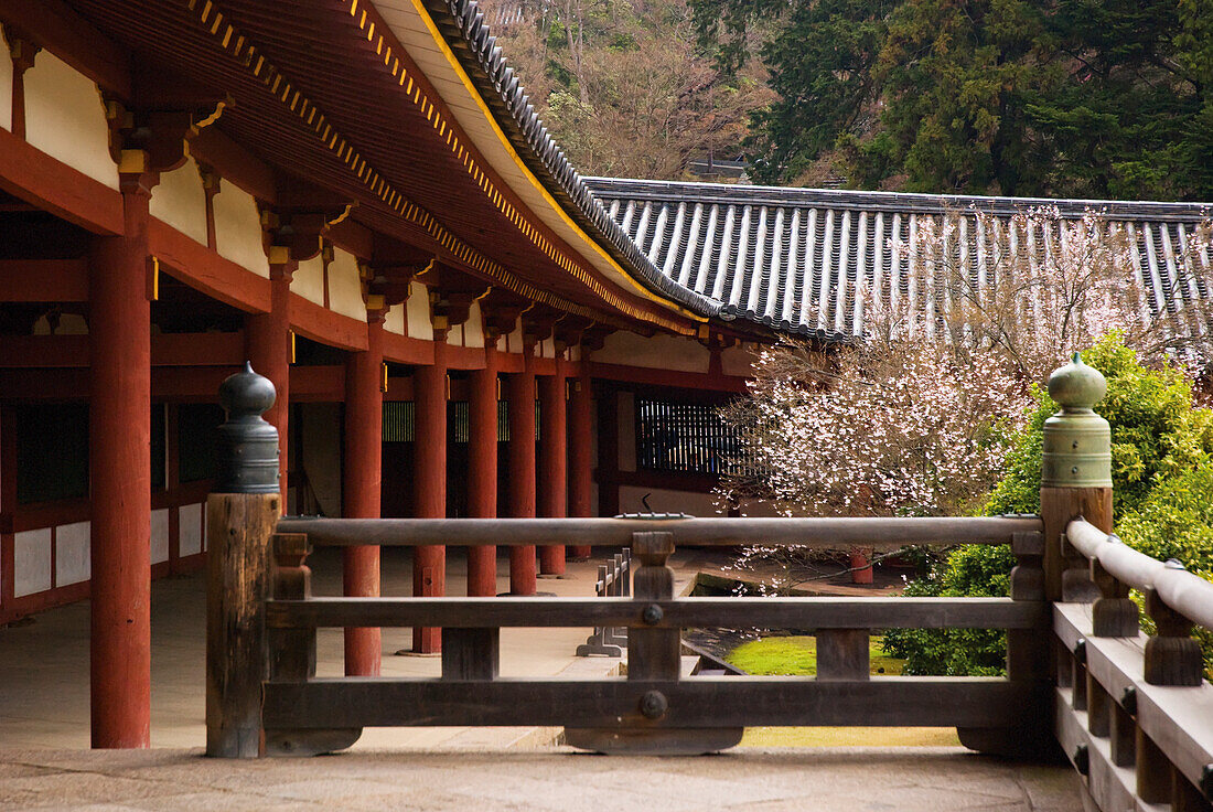Japanischer Tempelgarten; Nara, Japan