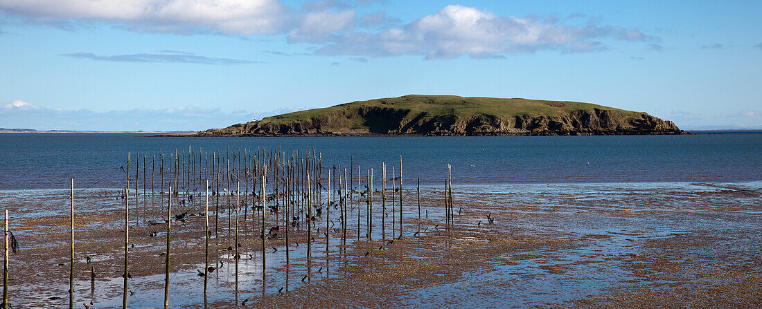 Pfähle im flachen Wasser entlang der Küste; Dumfries und Galloway Schottland
