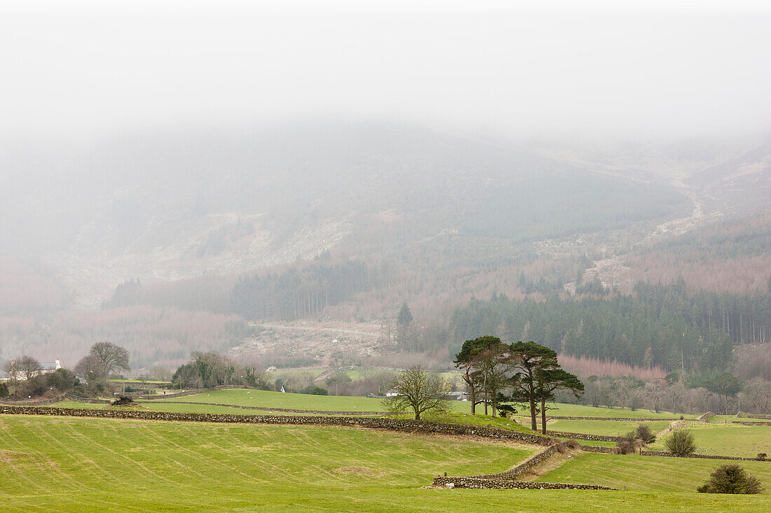 Nebel über einer Landschaft; Dumfries Schottland