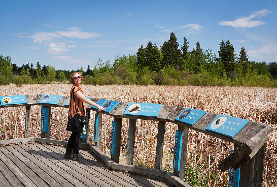 Woman On A Boardwalk Reading Plaques By A Marsh At Elk Island, National Park; Alberta, Canada
