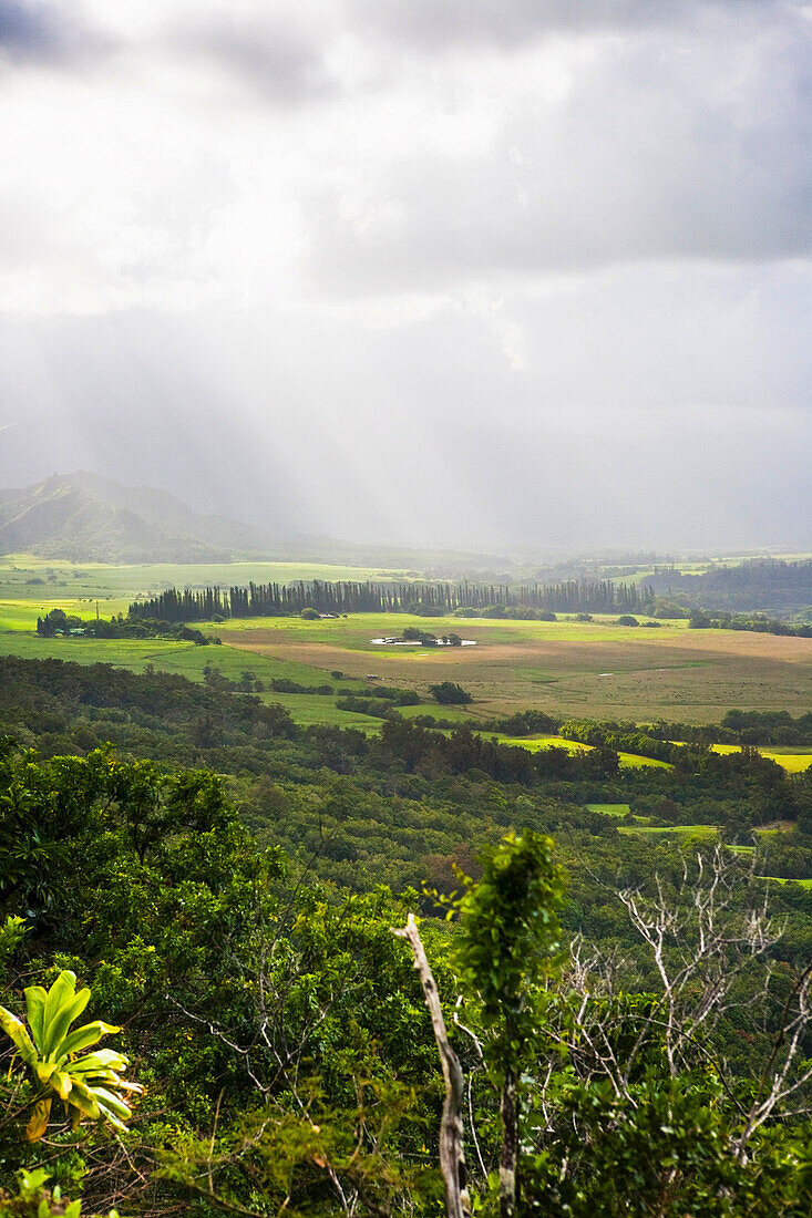 Views Overlooking The Kipu Ranch; Kauai, Hawaii, Usa