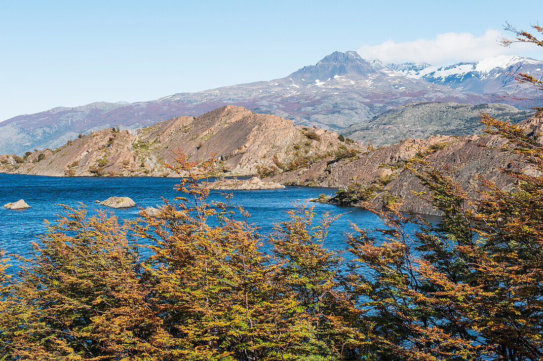 Small Lake In Torres Del Paine National Park Near Paine Grande Lodge; Patagonia Chile