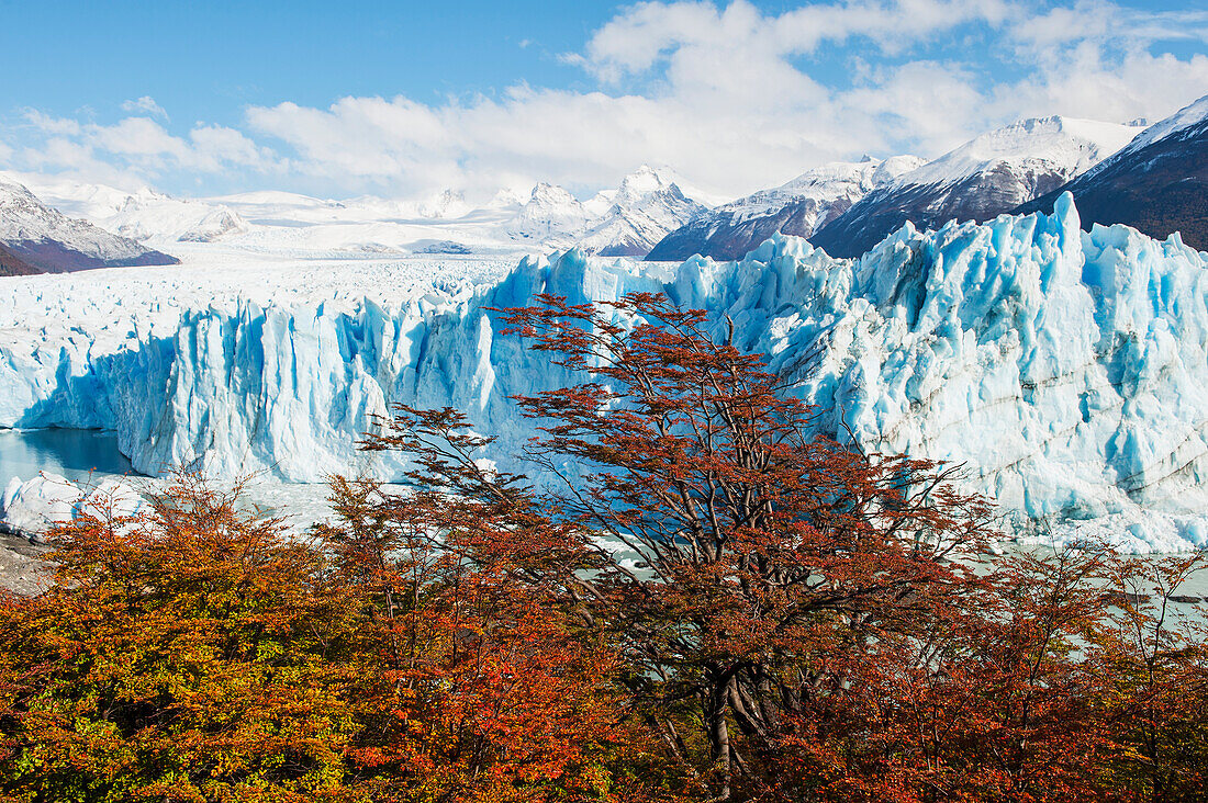 Perito Moreno Glacier In Autumn; Patagonia Argentina