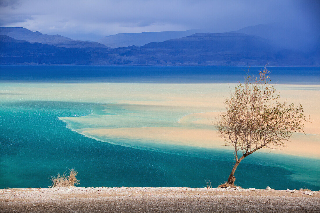 Landscape At The Dead Sea; Jordan Valley Israel