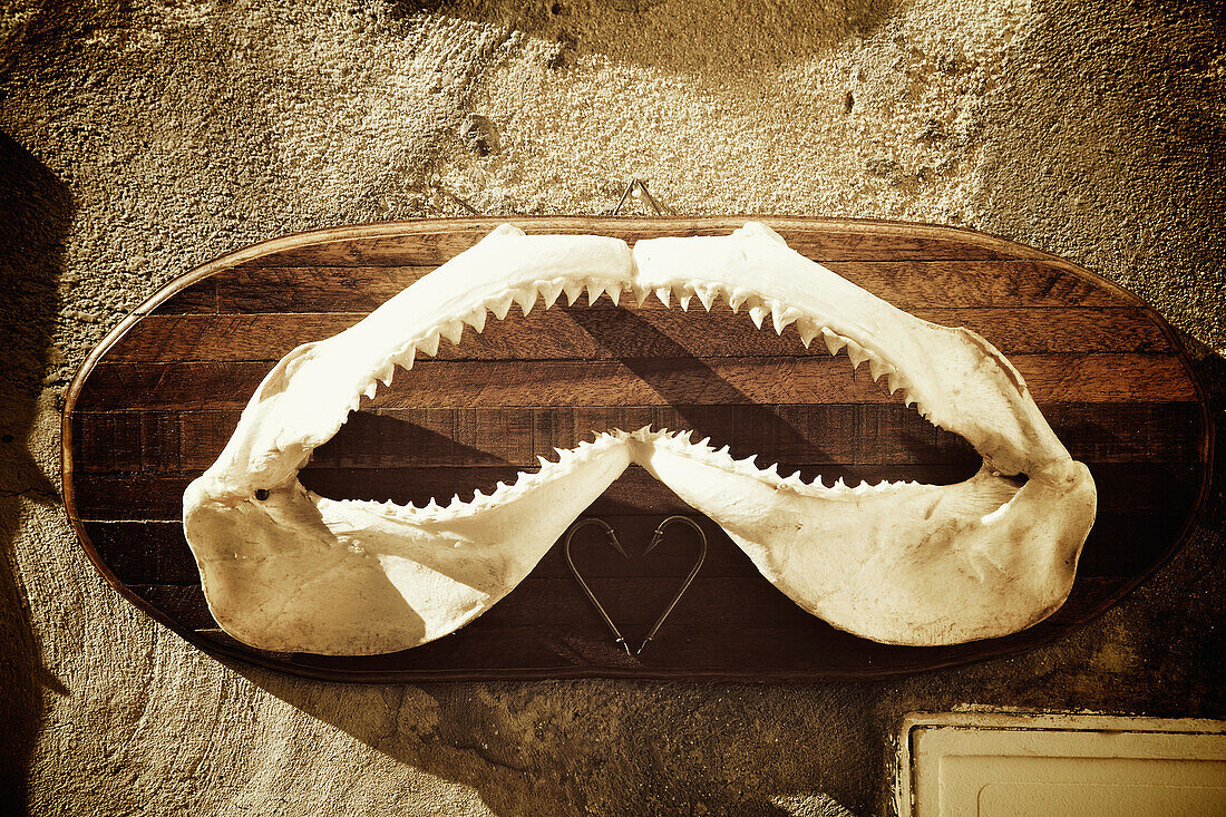 A Fish Jaw With Teeth Mounted On A Board Hanging On The Wall; Cannes Provence France