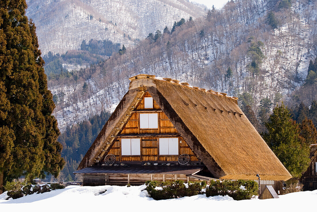 Traditionelles japanisches Strohdach-Dorfhaus im Winter; Shirakawa, Gifu, Japan