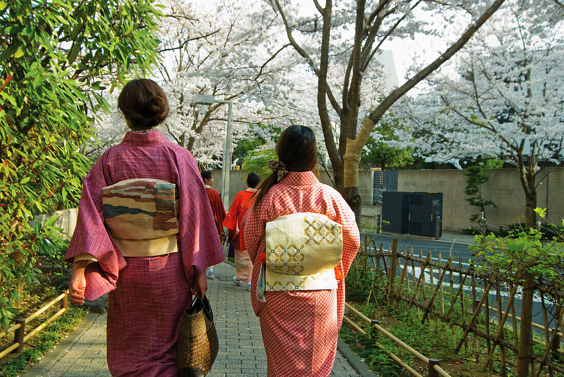 Two Japanese Women In Kimonos Walking Down A Street With Cherry Blossoms; Tokyo, Japan
