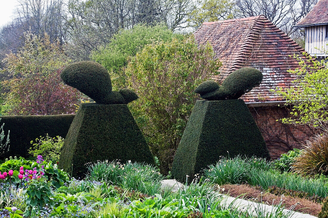 Eichhörnchenförmiger Formschnitt in einem Garten; Sussex, England