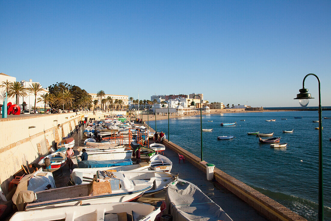 Boats In The Harbour; Cadiz, Andalusia, Spain