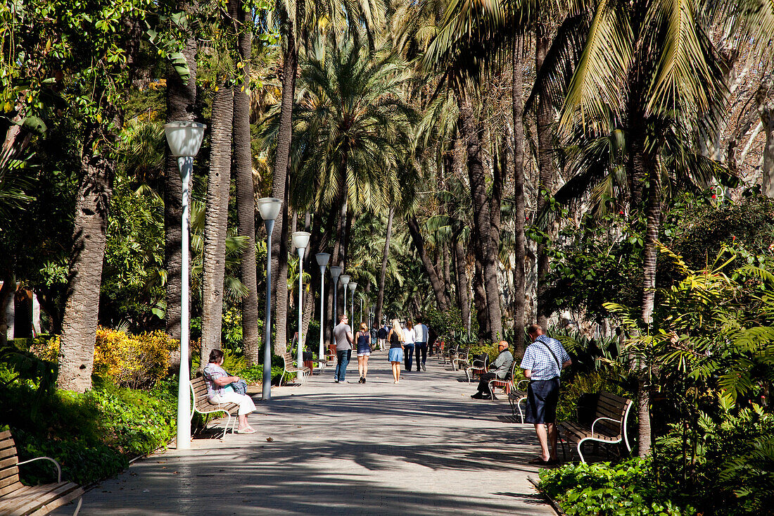 Pedestrians Walking Down A Path Lined With Palm Trees; Malaga, Andalusia, Spain