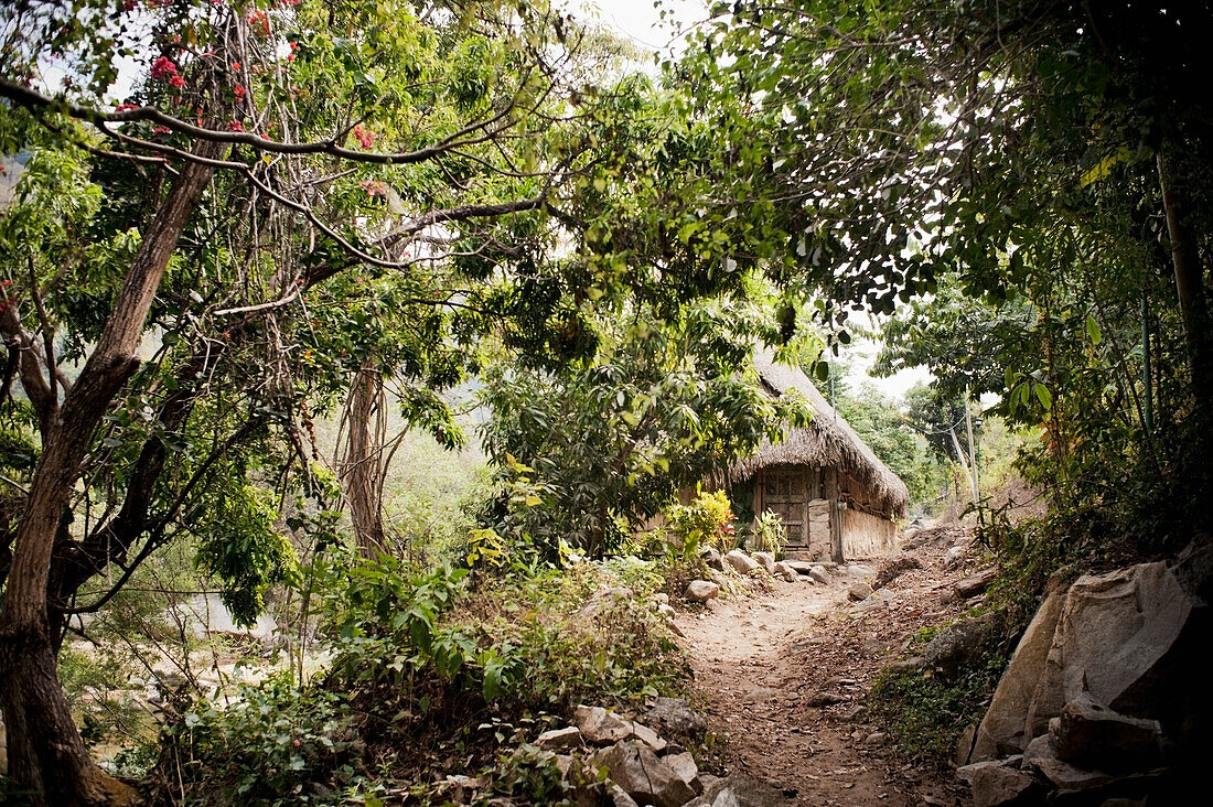 A Dirt Path Leading To A House; Yelapa, Jalisco, Mexico