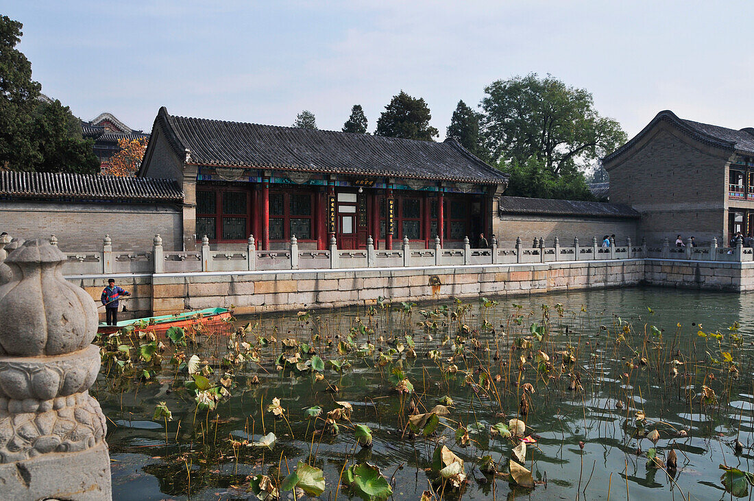 Pflanzen, die über die Wasseroberfläche des Flusses wachsen, während ein Boot am Ufer entlangfährt; Beijing China