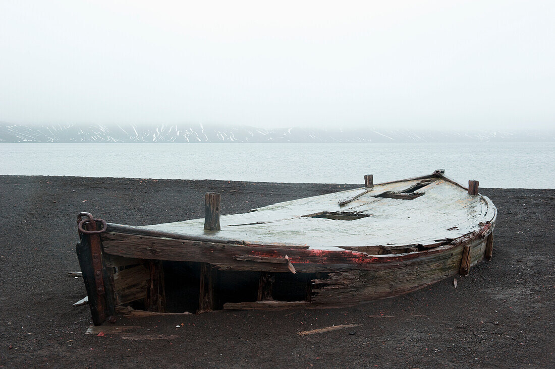 An Old Abandoned Wooden Boat On The Shore; Whalers Bay Antarctica