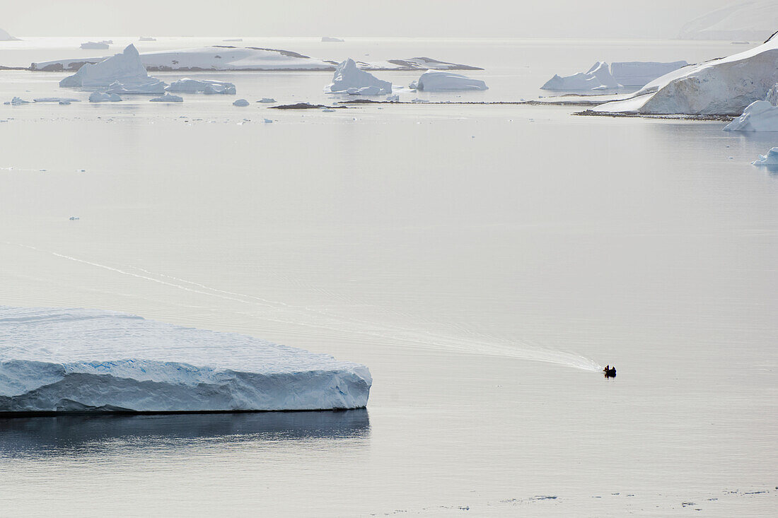 Icebergs In The Water; Antarctica