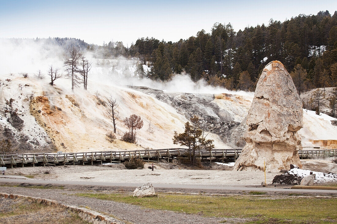 Mammoth Hot Springs In Yellowstone National Park; Wyoming United States Of America