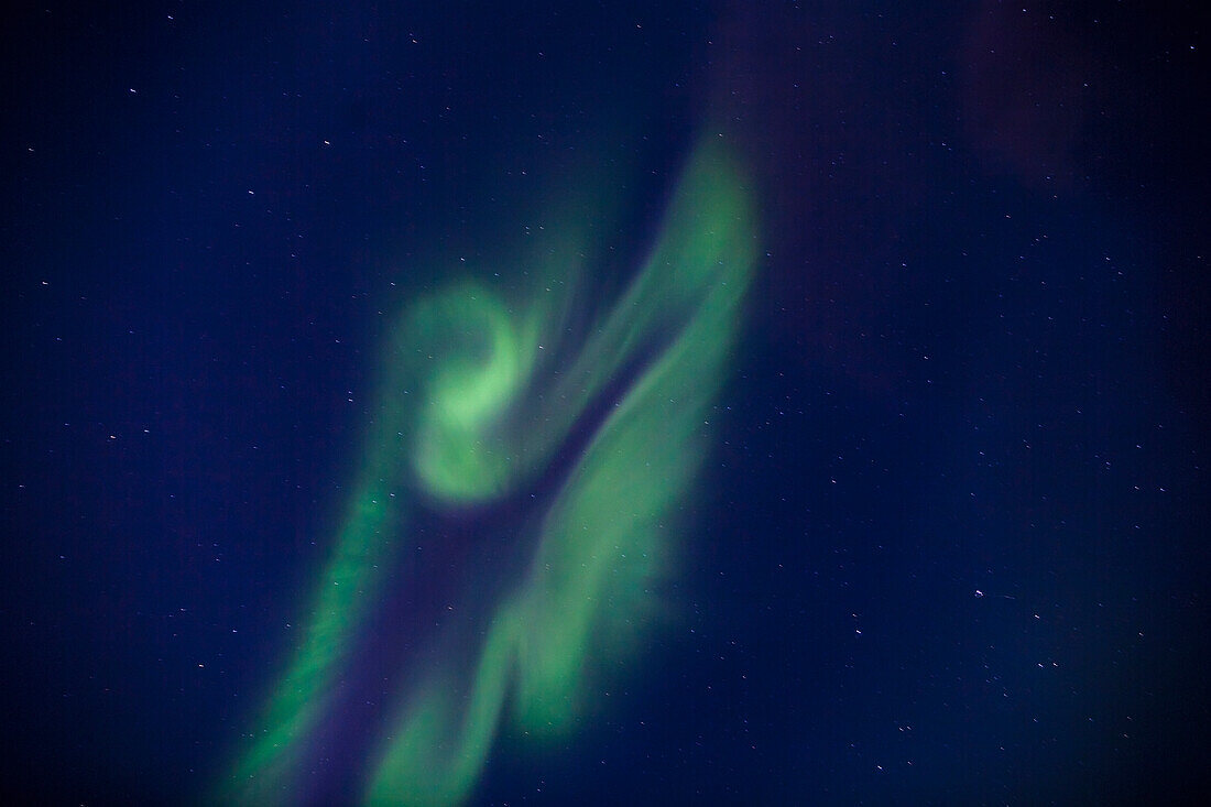 Aurora Borealis Shaped Like An Angel At Wapusk National Park; Manitoba Canada