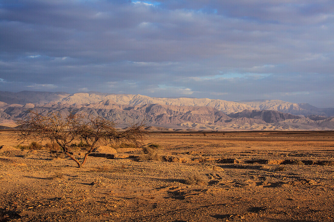 Berge und Wüstenlandschaft; Jordanien Rift Valley Israel