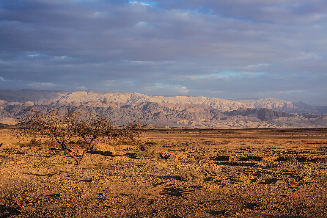 Mountains And Desert Landscape; Jordan Rift Valley Israel