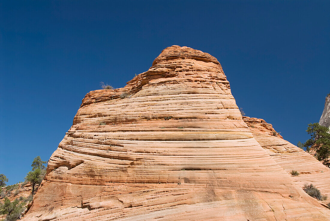 Utah, Zion National Park, View of an ancient sand dune from the Zion Mount Camel Highway.