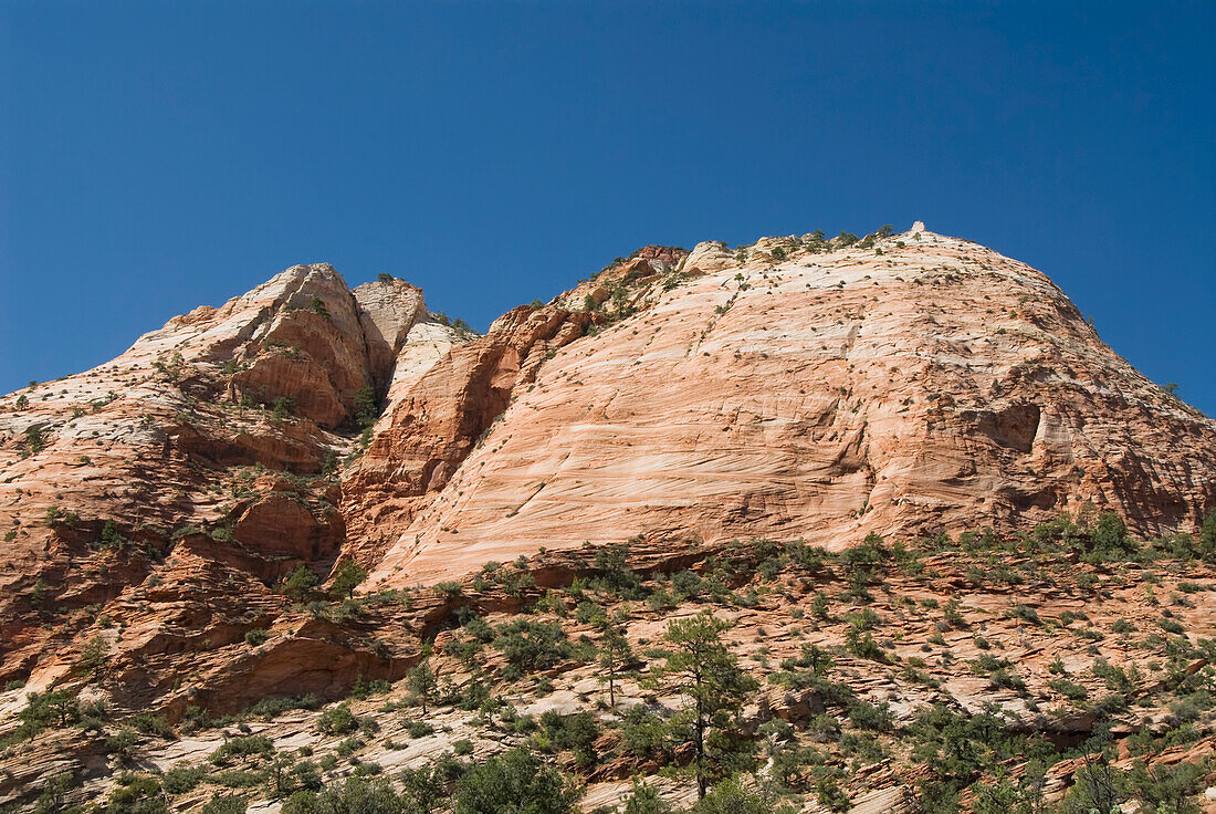 Utah, Zion National Park, Landschaft entlang des Zion Mount Camel Highway.