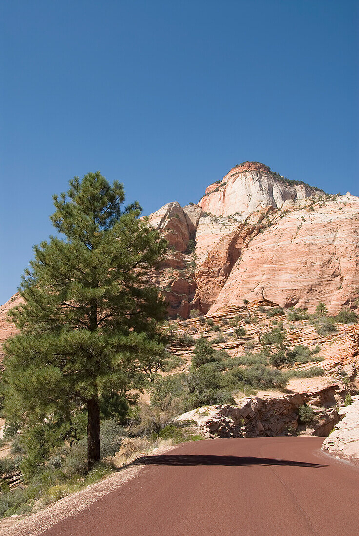 Utah, Zion National Park, Roadway along the Zion Mount Camel Highway.