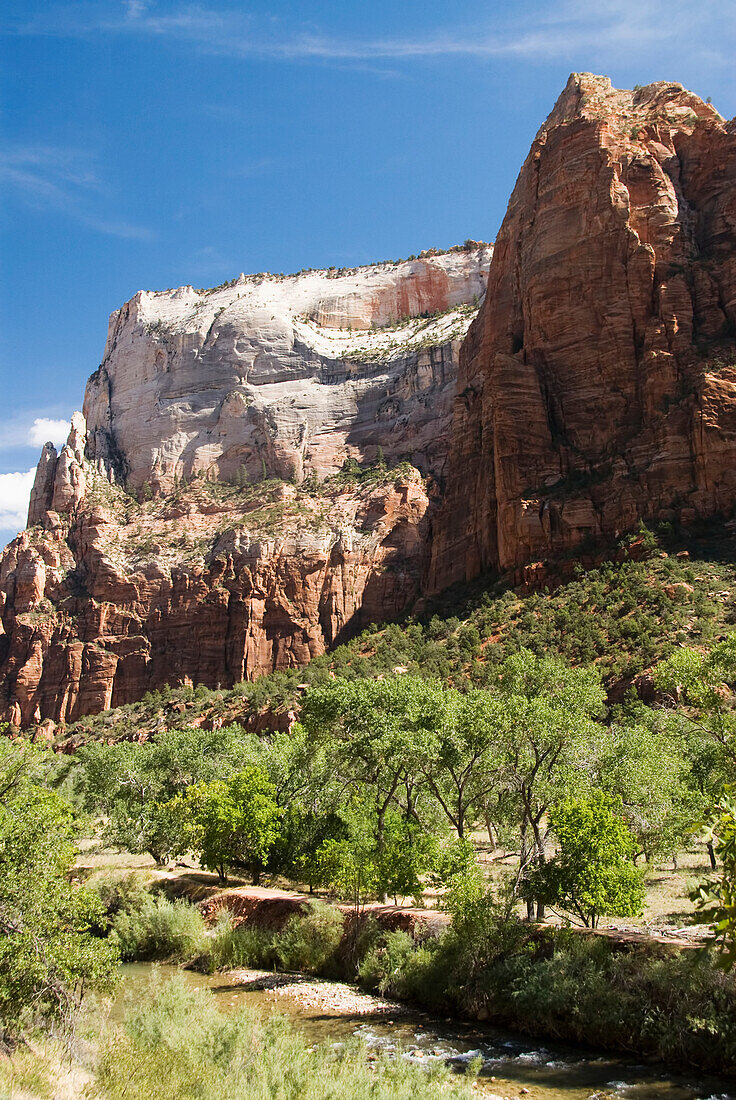 Utah, Zion National Park, Virgin River and lush foliage near Zion Lodge.