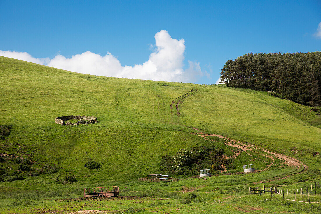 A Dirt Road Through A Grass Field With A Fence And Various Farm Objects; Northumberland England