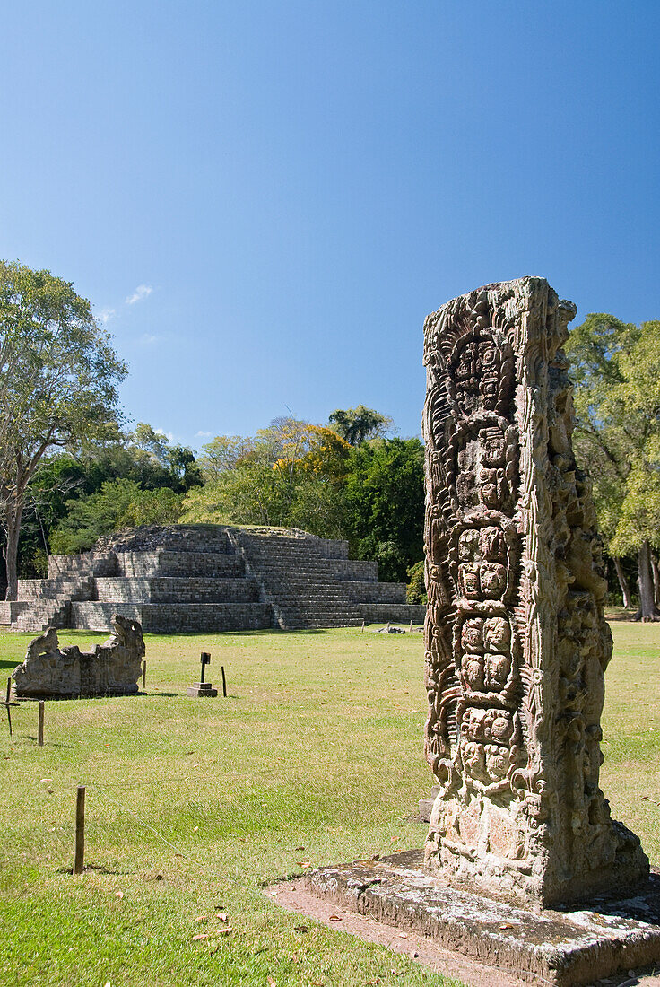 Honduras, Copan Ruinas, Copan Archeological Park, Stela F, Mayan glyphs