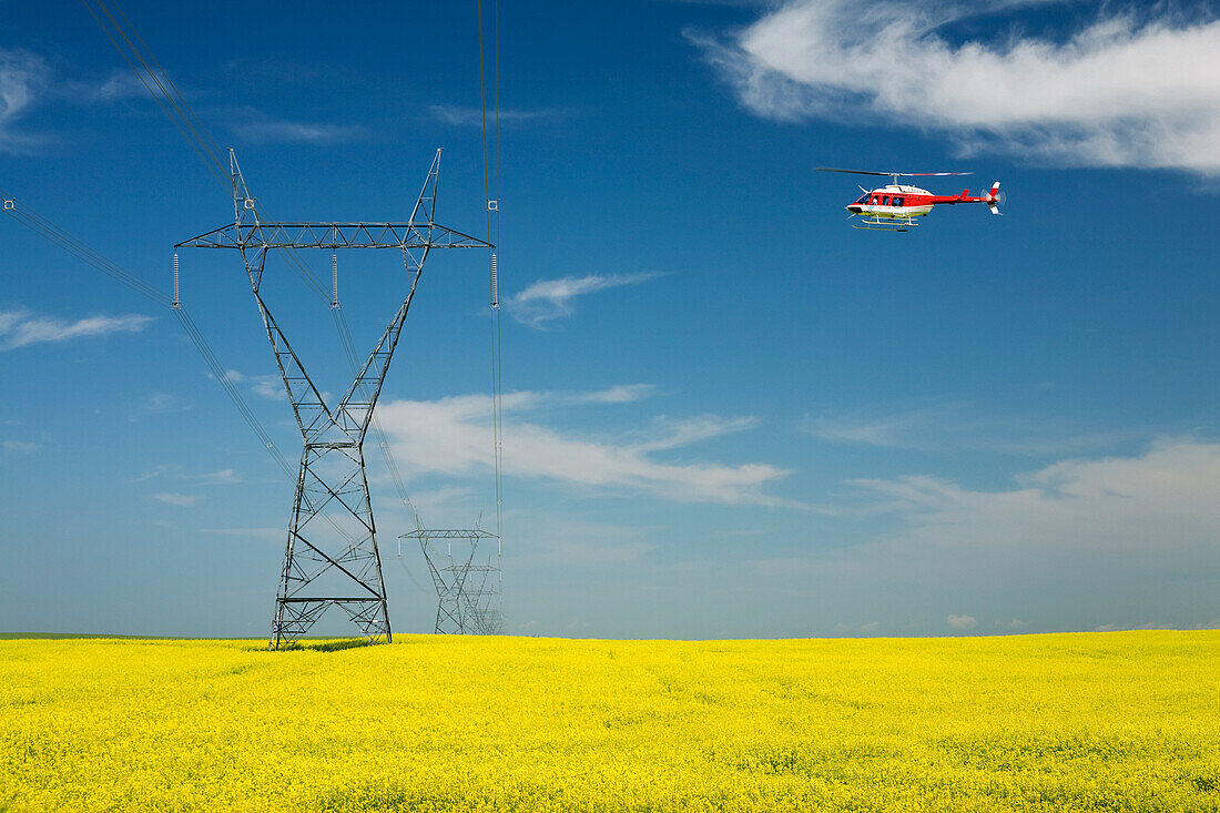 Helicopter Hovering Over A Large Metal Electric Tower And Lines With A Flowering Canola Field Blue Sky And Clouds East Of High River; Alberta Canada