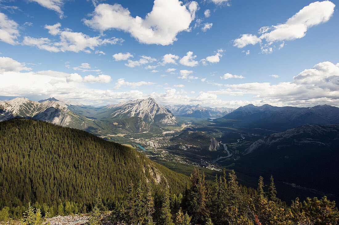 Landschaft mit Blick auf den Wald und die kanadischen Rocky Mountains; Alberta Kanada