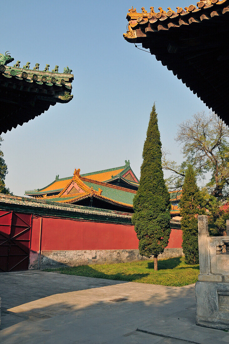 Dächer von Gebäuden vor blauem Himmel im Beihai Park; Beijing China